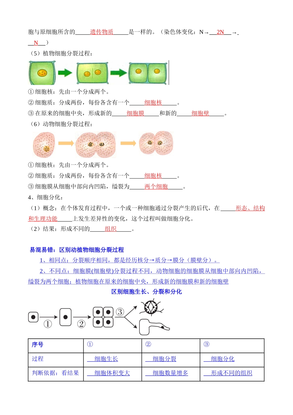 专题03 细胞怎样构成生物体（讲义）_中考生物.docx_第3页