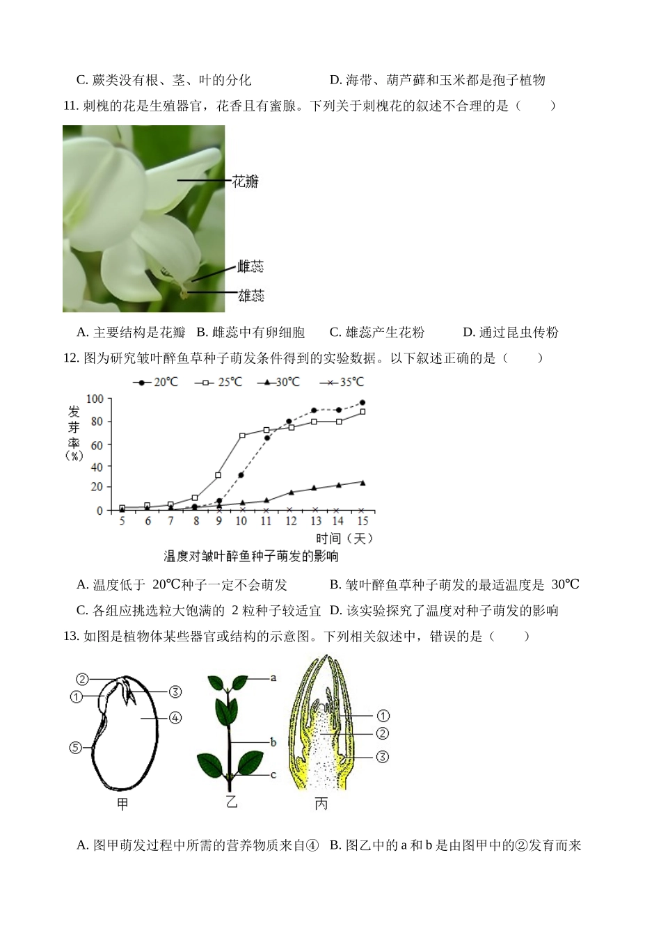 测试03 生物圈中的绿色植物_中考生物.docx_第2页