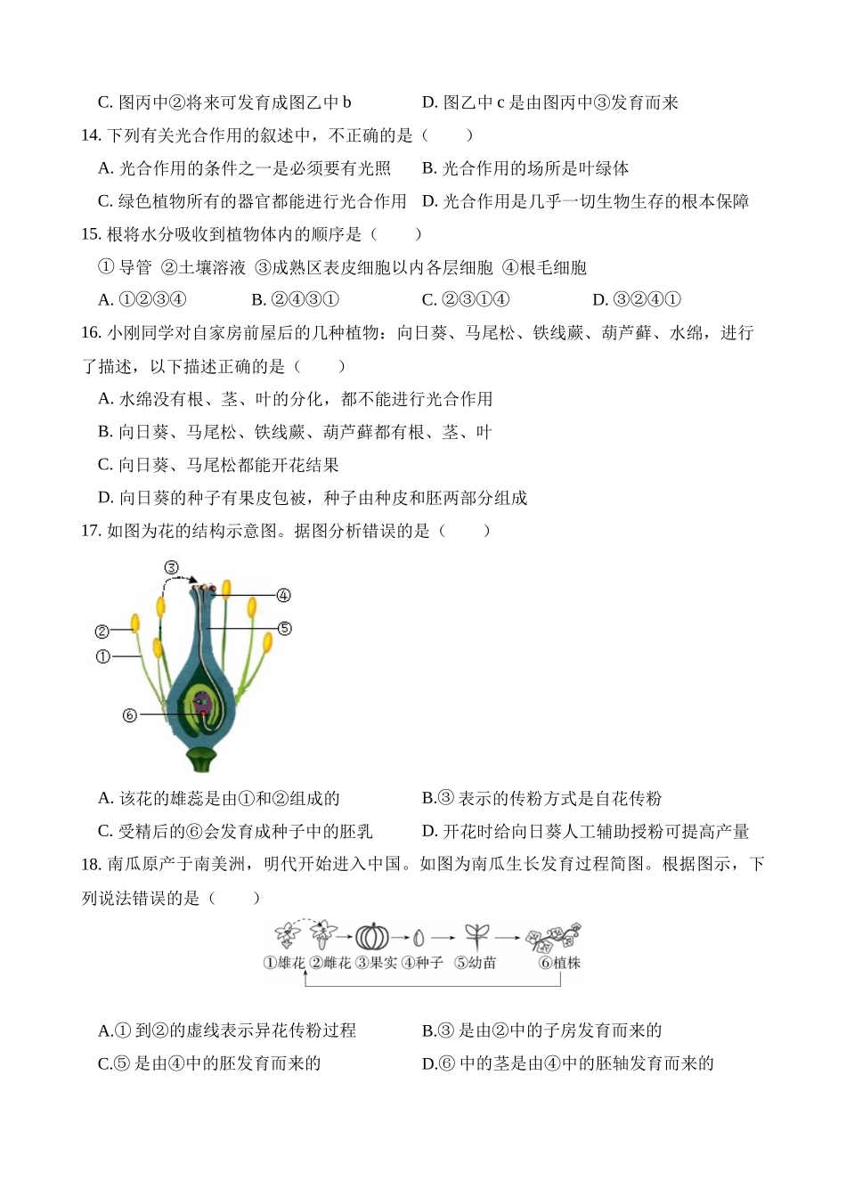 测试03 生物圈中的绿色植物_中考生物.docx_第3页