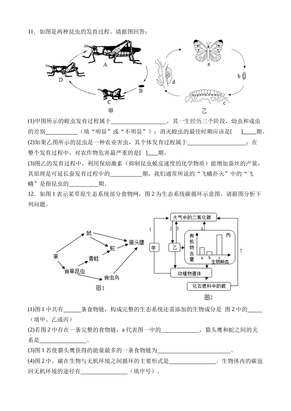 生物（湖北省卷）_中考生物.docx_第3页