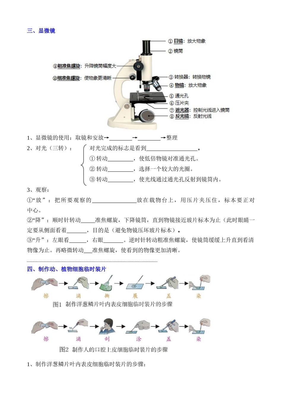 初中生物重要识图填空速记50个_中考生物.docx_第2页