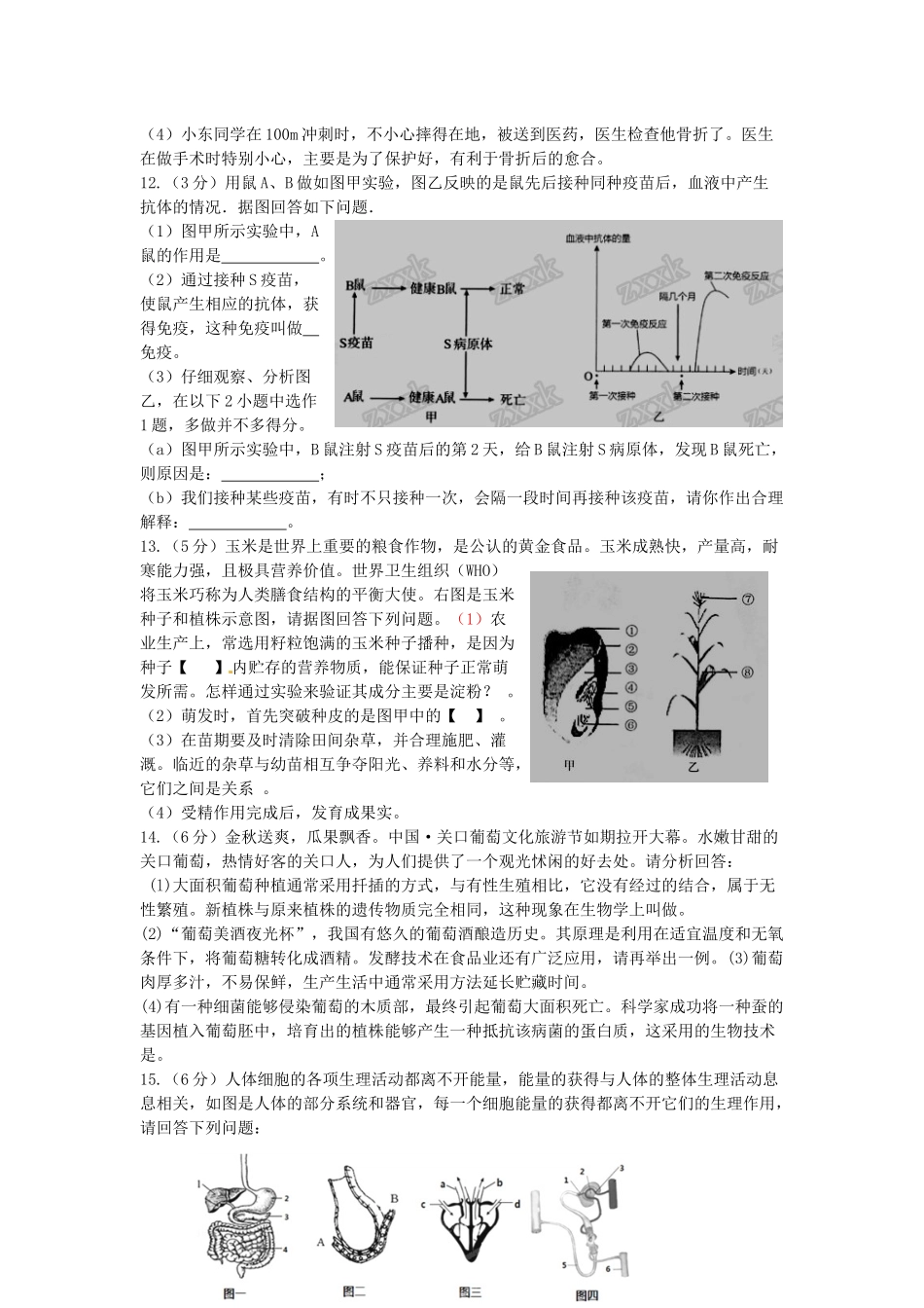 湖北省恩施市2019中考生物仿真模拟试题6.docx_第3页