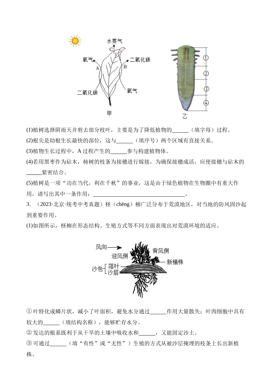 专题04 绿色植物的蒸腾作用、光合作用和呼吸作用（第3期）_中考生物.docx_第2页