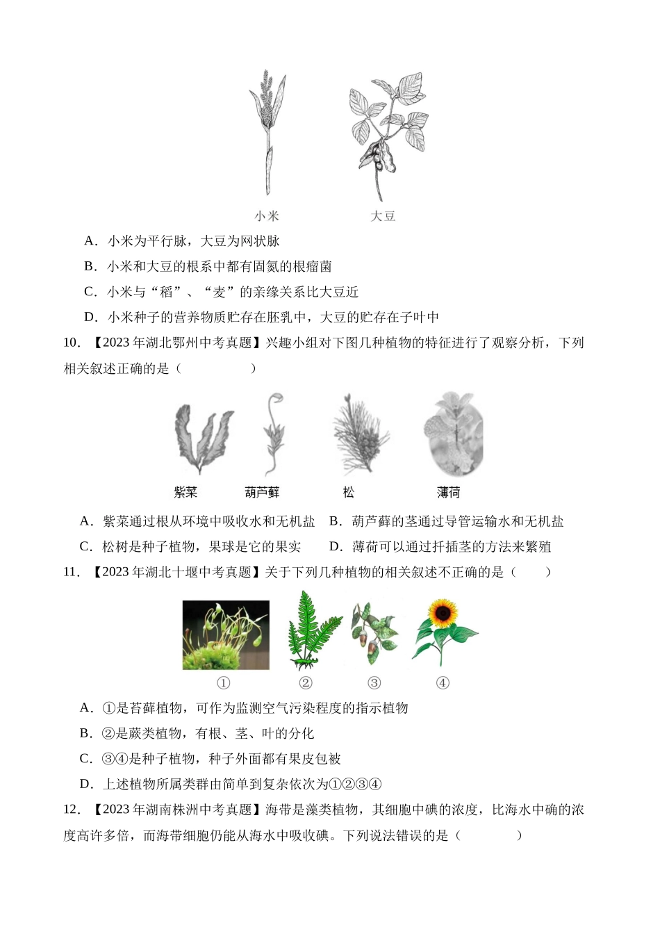 专题11 植物、动物和微生物类群（第2期）_中考生物.docx_第2页