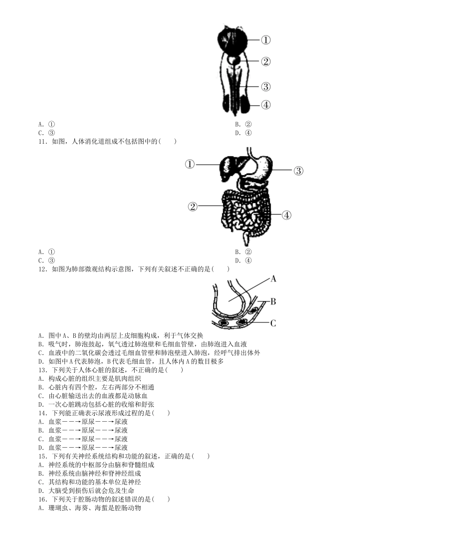 广东省2019年初中生物毕业生学业水平考试模拟试题二.doc_第3页