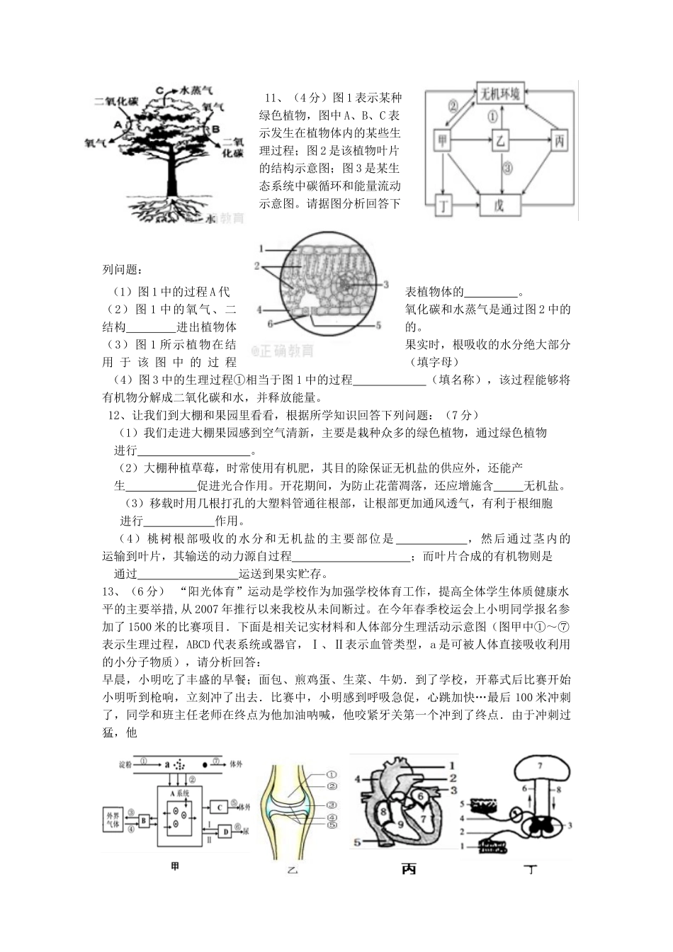 2019中考生物模拟试题（五）.docx_第3页