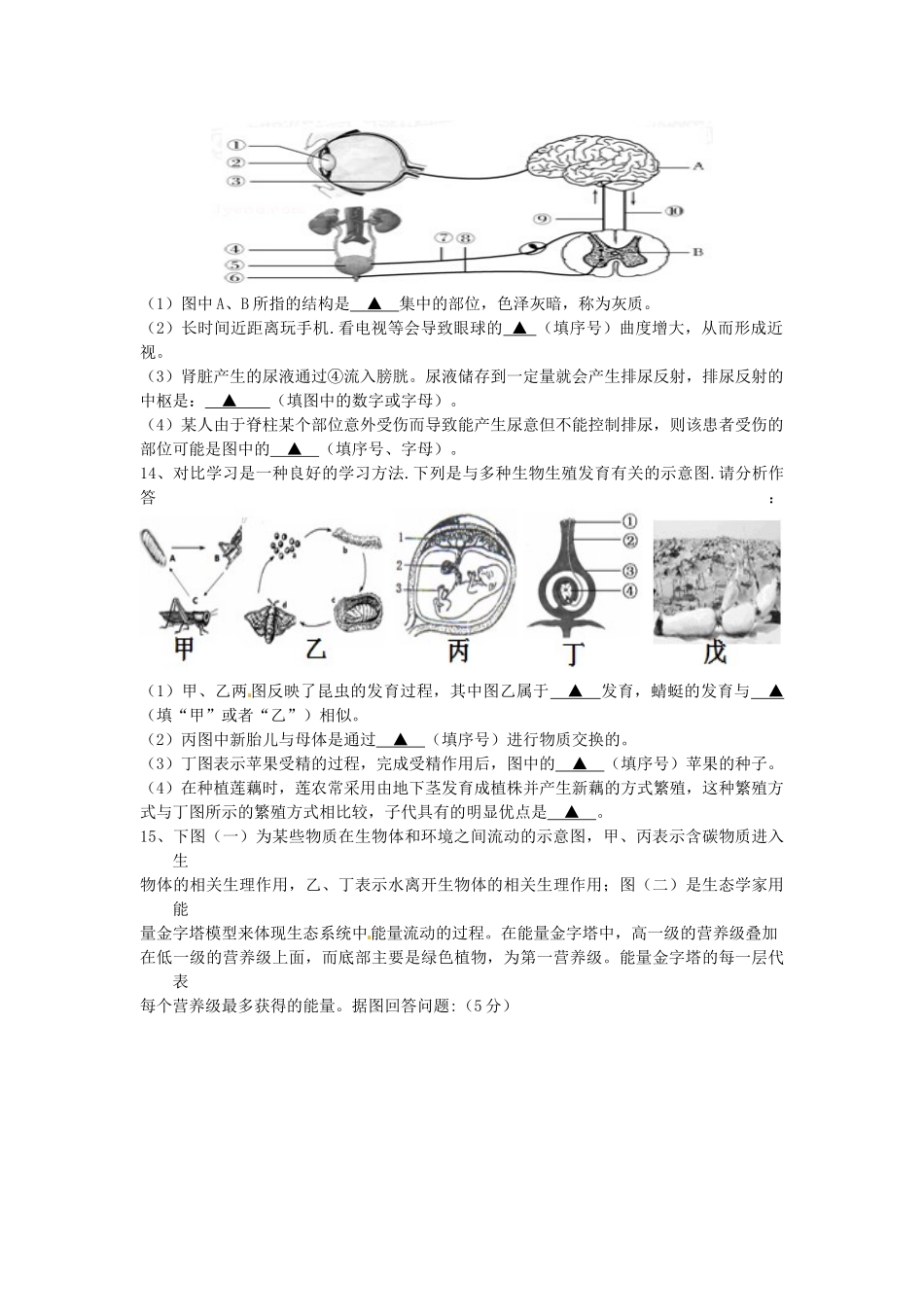 2019年中考生物模拟考试试题（一）.docx_第3页