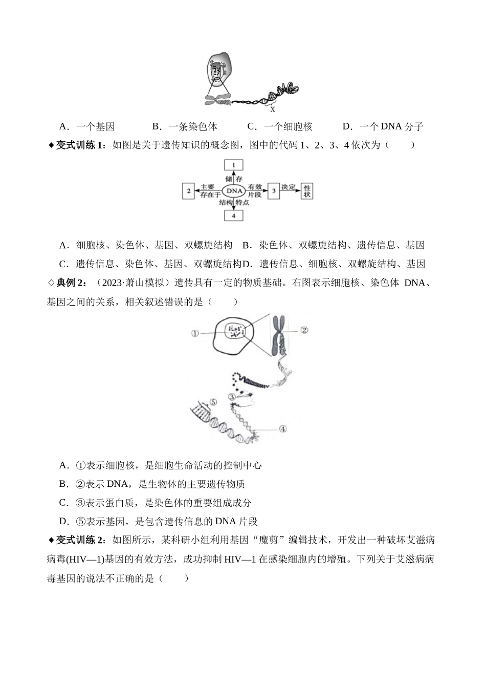 专题07 遗传和进化_中考科学.docx_第3页