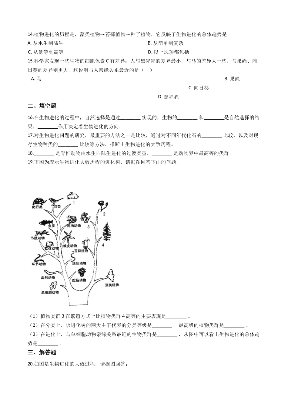 苏科版八年级下册生物-23.2生物进化的历程-练习题.docx_第3页