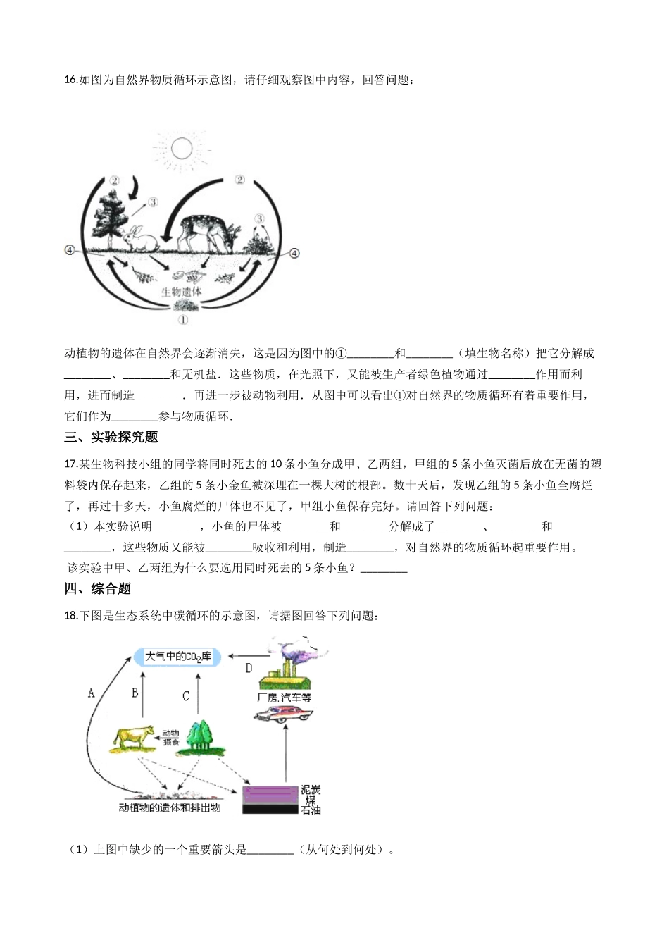 济南版八年级下册生物-6.2.3能量流动和物质循环-同步测试.docx_第3页