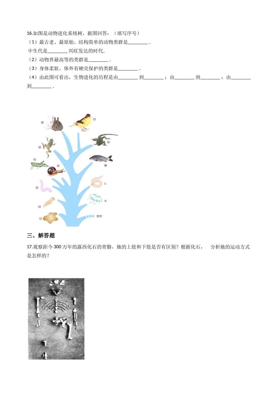 济南版八年级下册生物-5.2.2人类的进化-同步测试.docx_第3页