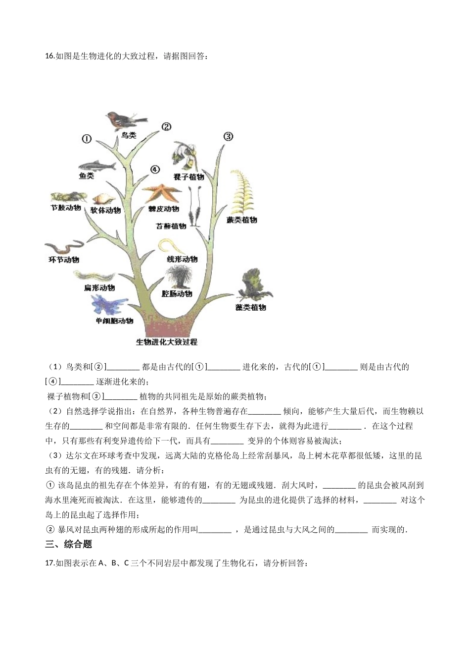 济南版八年级下册生物-5.1.2生物进化的证据-同步测试.docx_第3页