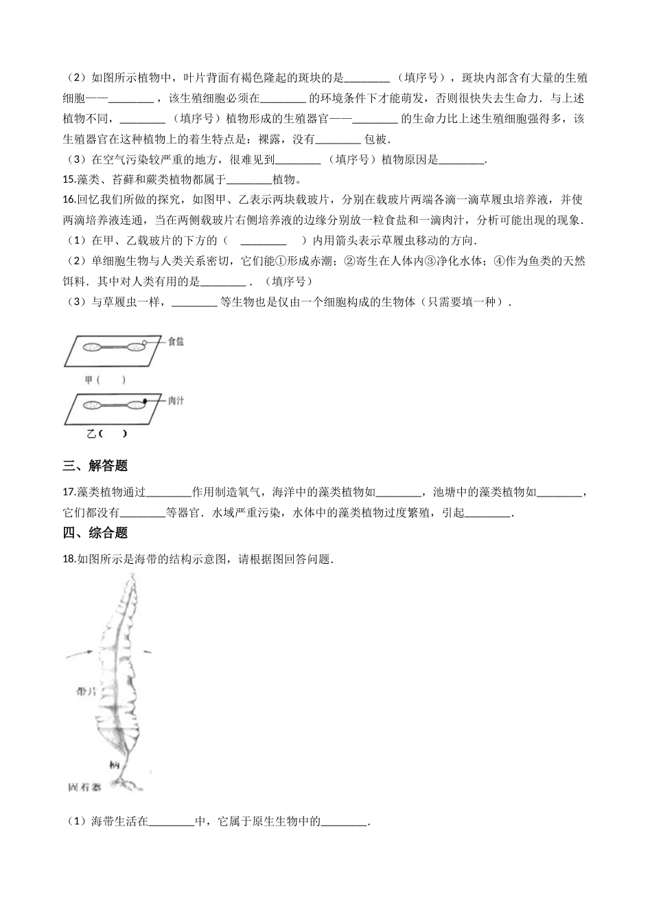 北师大版八年级下册生物当堂练习-22.3植物的主要类群.docx_第3页