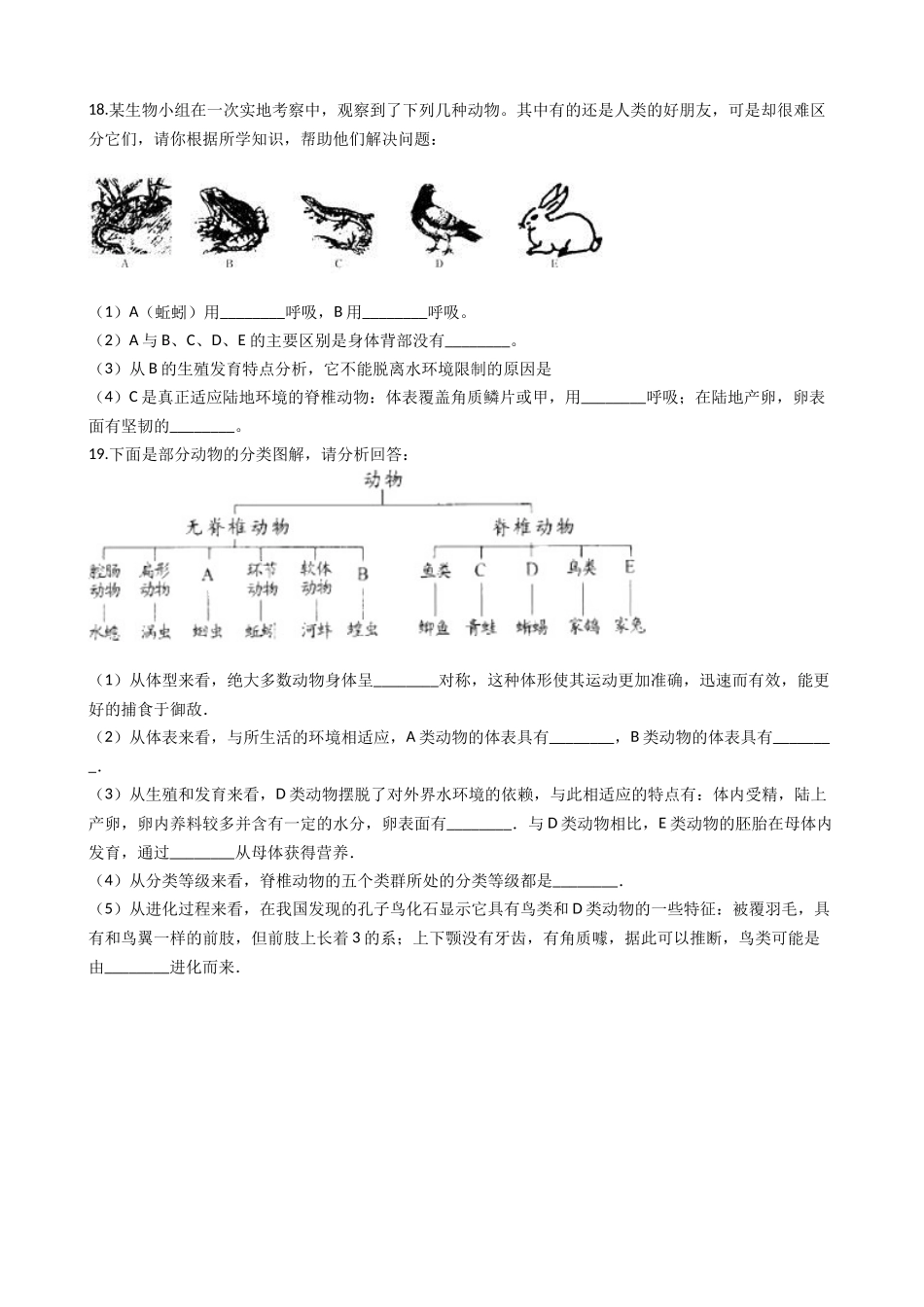 北师大版八年级下册生物当堂练习-22.1生物的分类.docx_第3页