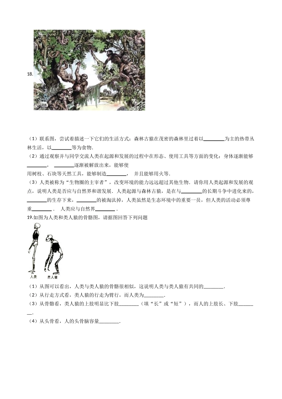 北师大版八年级下册生物当堂练习-21.3人类的起源与进化.docx_第3页