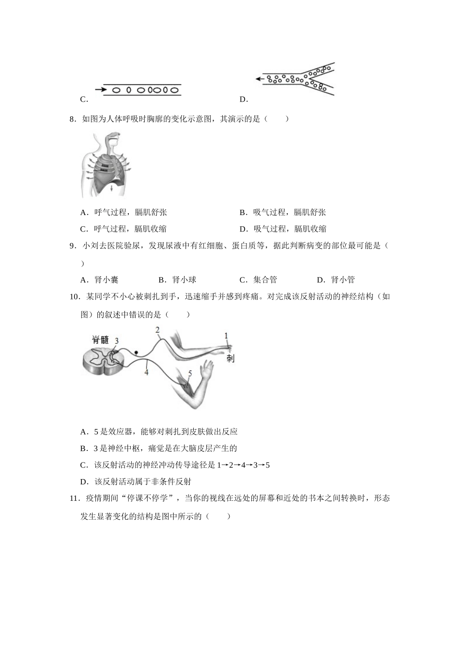 北京版八年级下册生物期中试卷2.doc_第2页