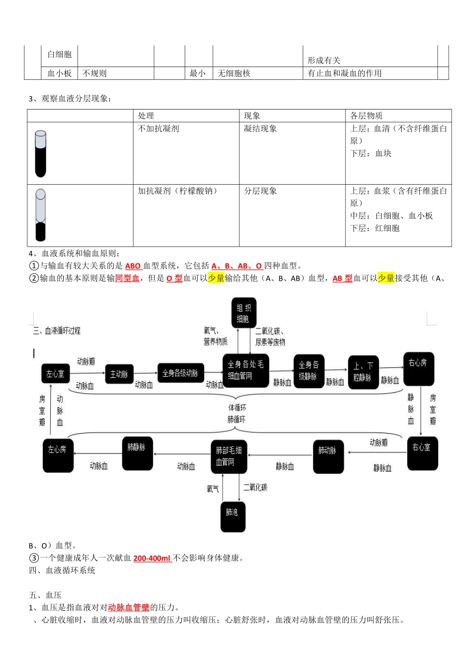 苏科版八年级生物上册知识点总结_八年级上册_八年级上册.pdf_第2页