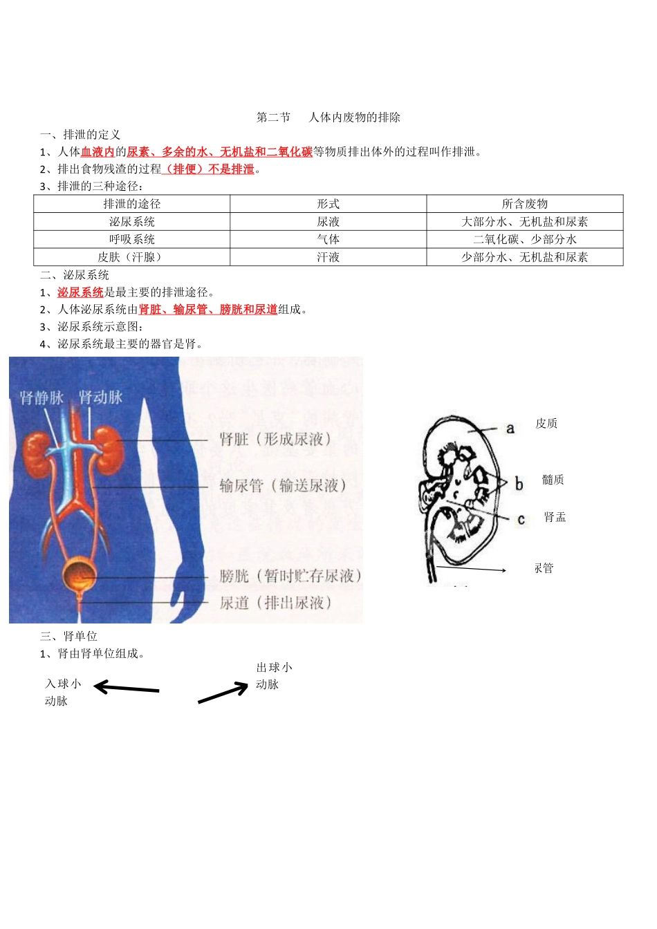 苏科版八年级生物上册知识点总结_八年级上册_八年级上册.pdf_第3页