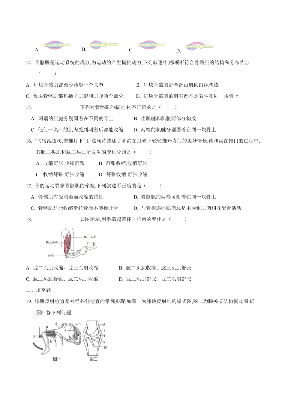 苏科版生物八年级上册 17.1 人体的运动（2） 同步练习_八年级上册_八年级上册.pdf_第3页