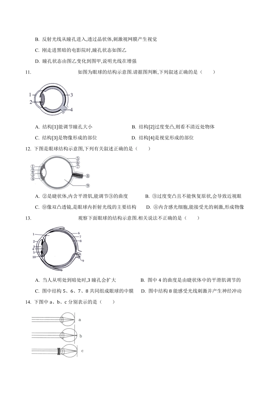 苏科版生物八年级上册 16.2 人体对信息的感知（2）同步练习_八年级上册_八年级上册.pdf_第3页