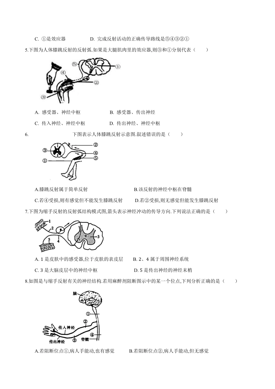 苏科版生物八年级上册 16.1 人体的神经调节（3）同步练习_八年级上册_八年级上册.pdf_第2页