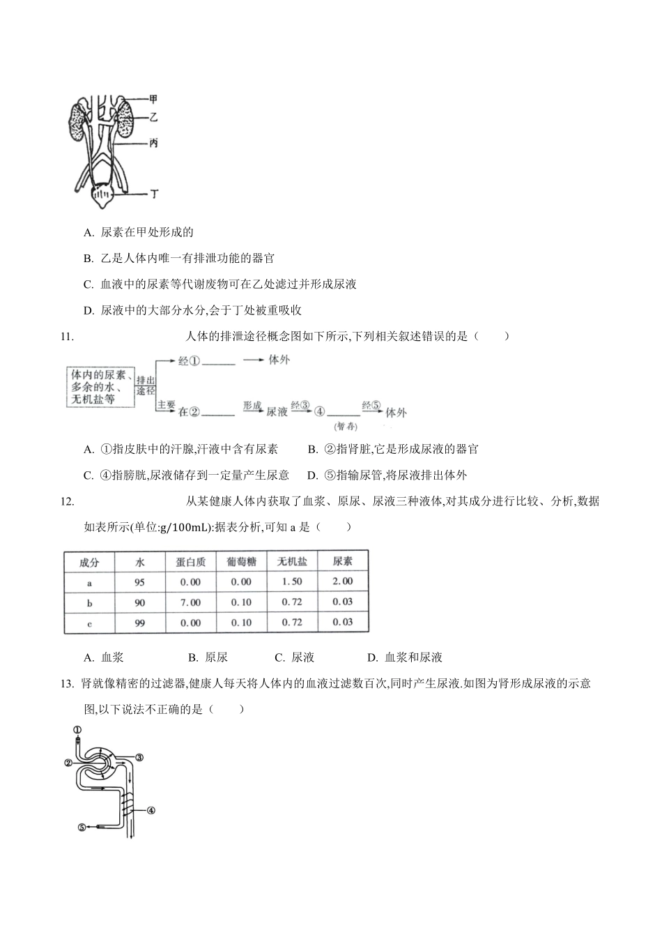 苏科版生物八年级上册 15.2 人体内废物的排出（2） 同步练习_八年级上册_八年级上册.pdf_第3页