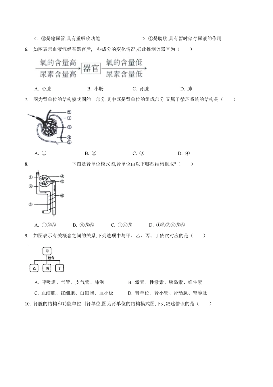 苏科版生物八年级上册 15.2 人体内废物的排出（1） 同步练习_八年级上册_八年级上册.pdf_第2页