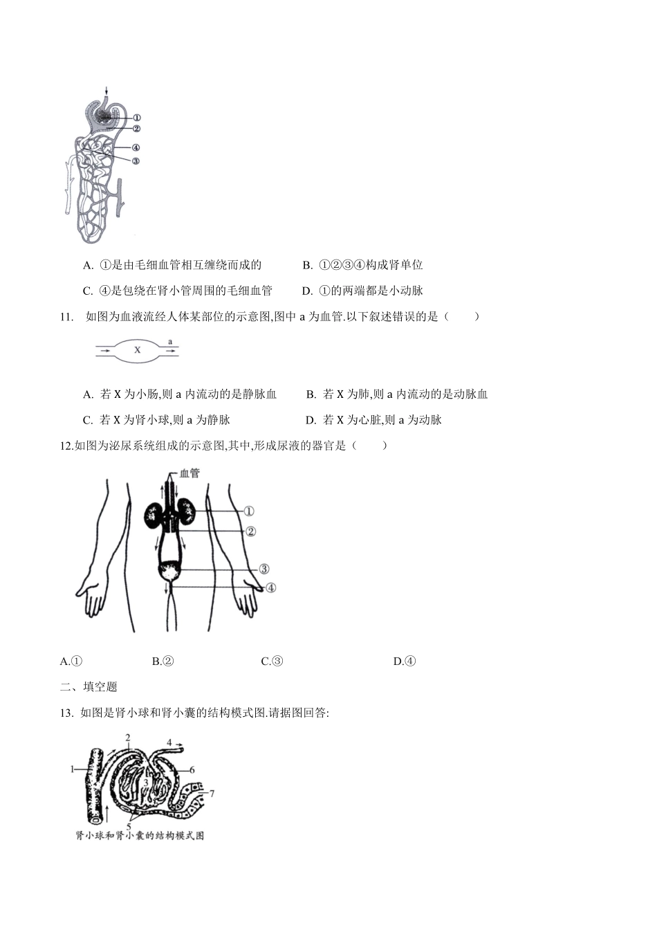 苏科版生物八年级上册 15.2 人体内废物的排出（1） 同步练习_八年级上册_八年级上册.pdf_第3页