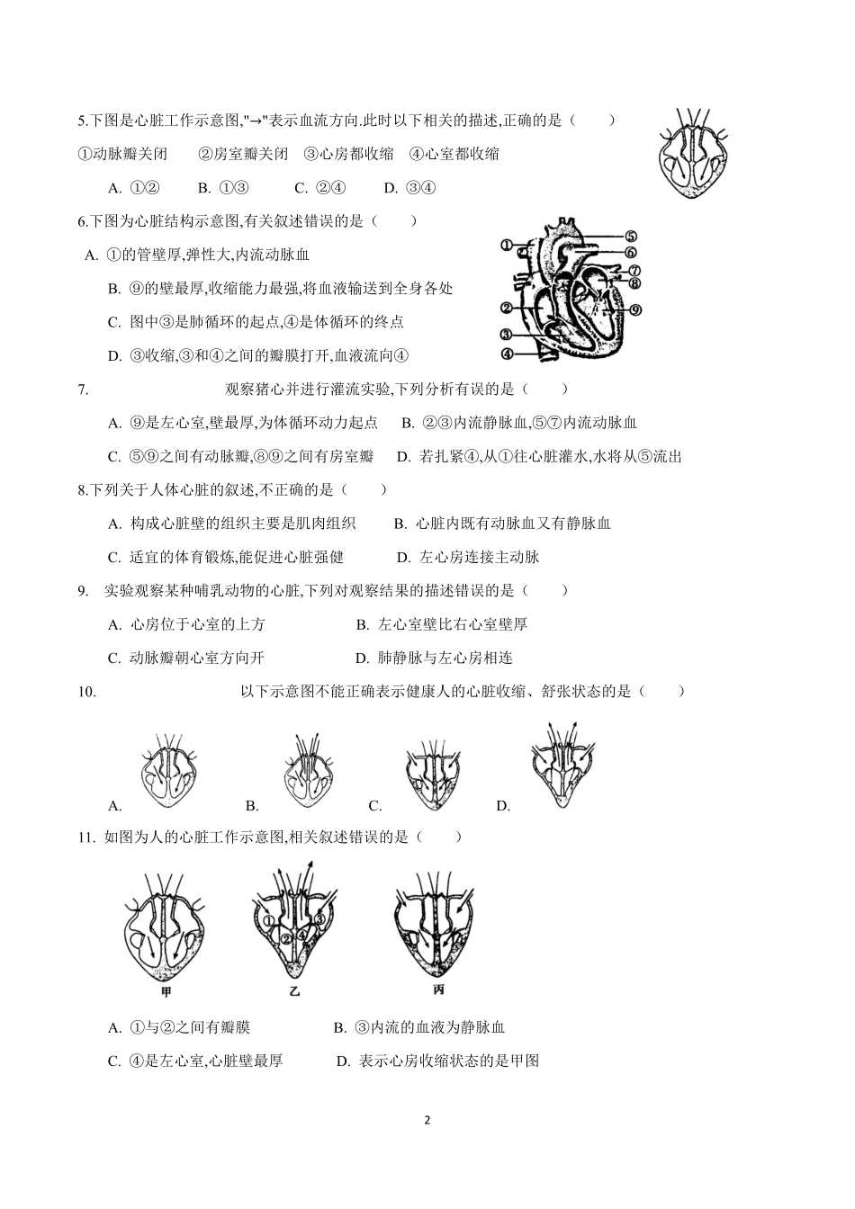 苏科版生物八年级上册 15.1 人体内物质的运输（2） 同步练习_八年级上册_八年级上册.pdf_第2页