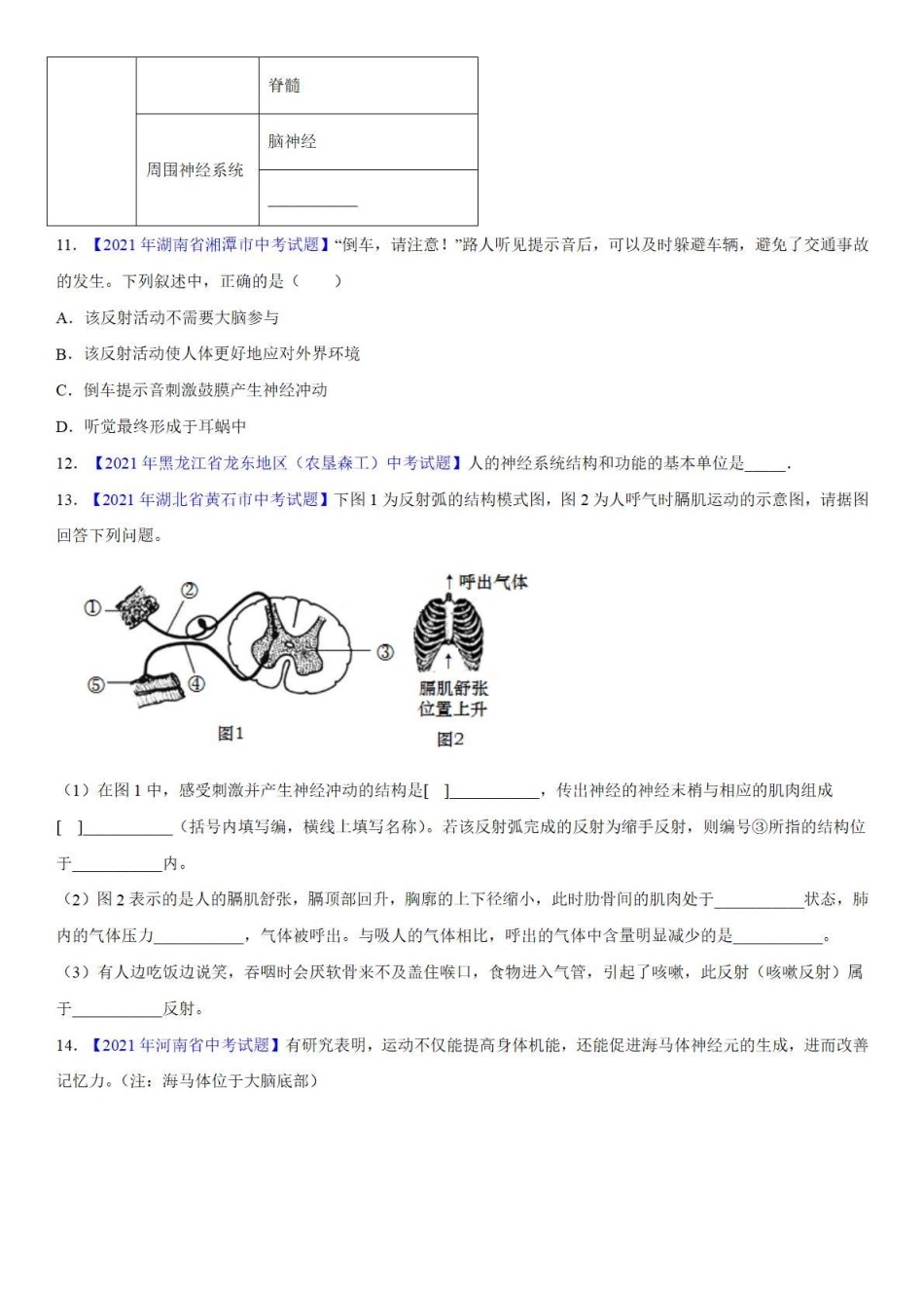 专题11 神经调节和激素调节——中考真题_八年级下册_八年级下册生物.pdf_第3页