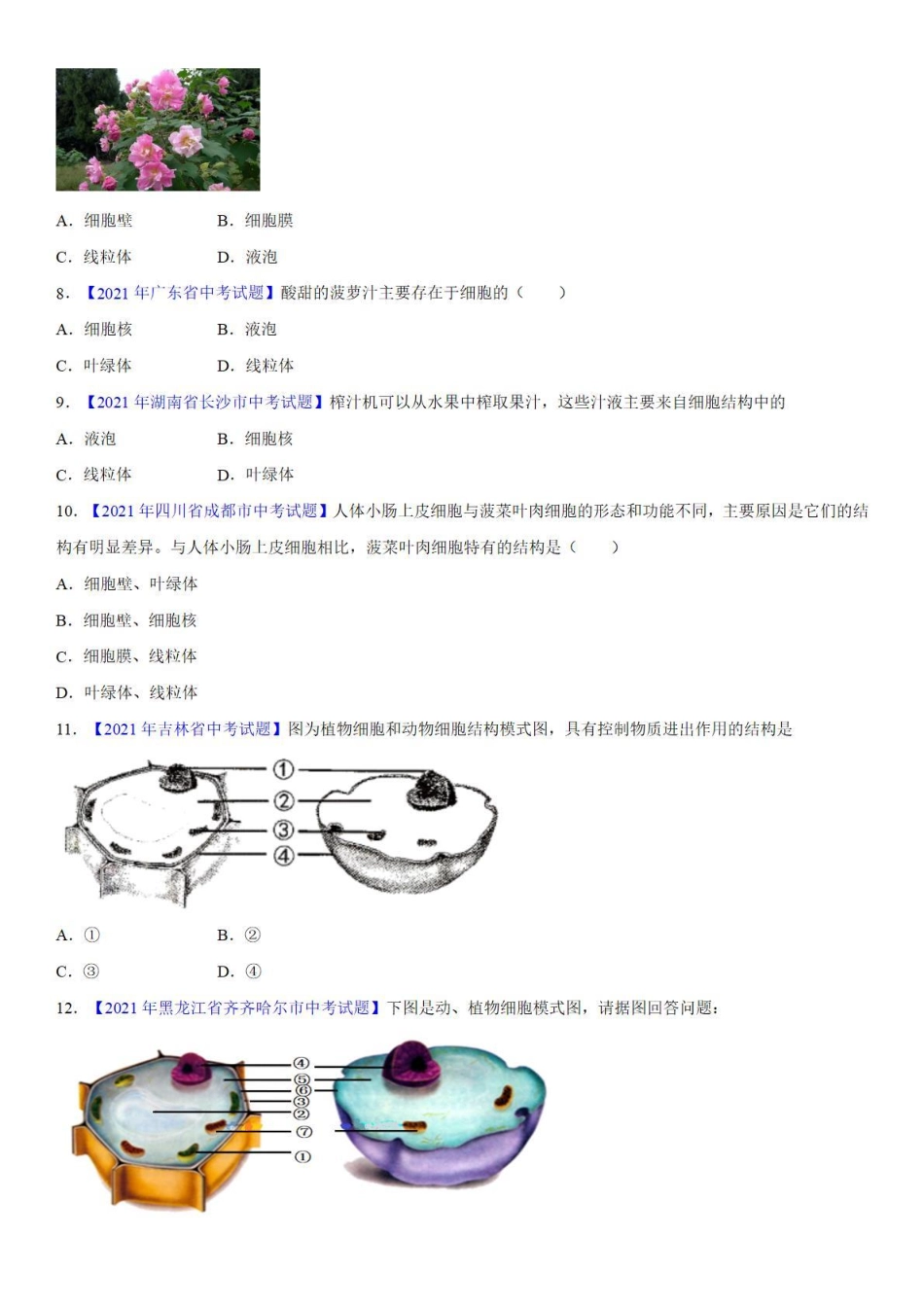 专题04 细胞是生命活动的基本结构和功能单位——中考真题_八年级下册_八年级下册生物.pdf_第2页