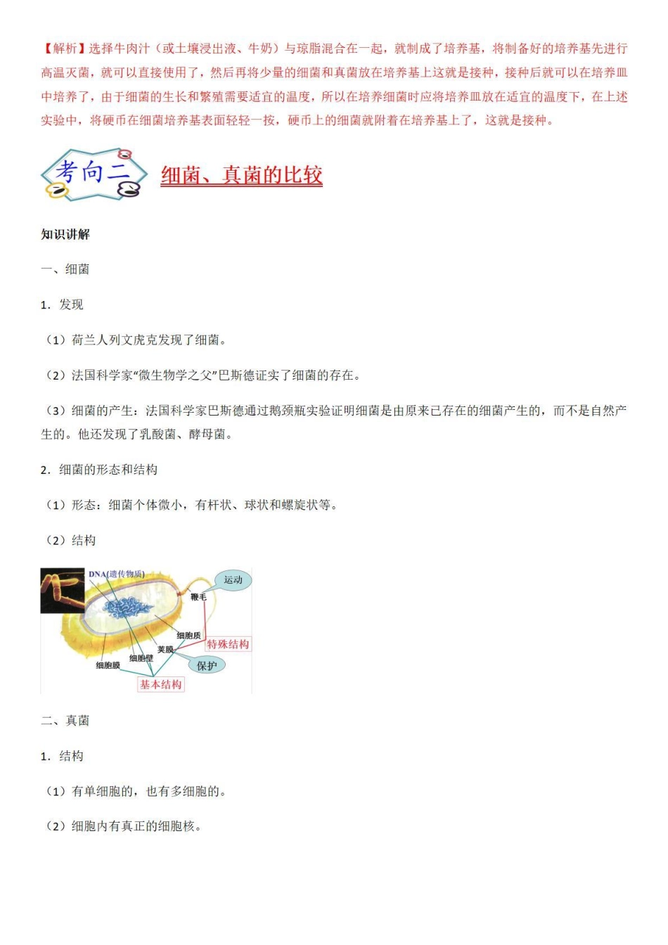 考点35细菌、真菌和病毒-备战2022年中考生物（知识点+精练）_八年级下册_八年级下册生物.pdf_第3页