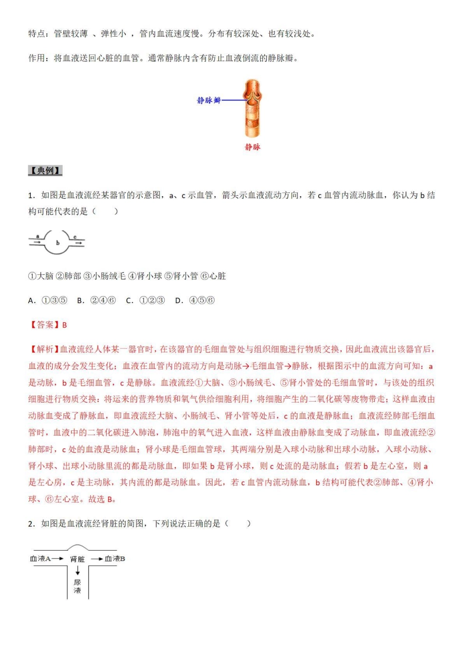 考点23 血管-备战2022年中考生物（知识点+精练）_八年级下册_八年级下册生物.pdf_第2页