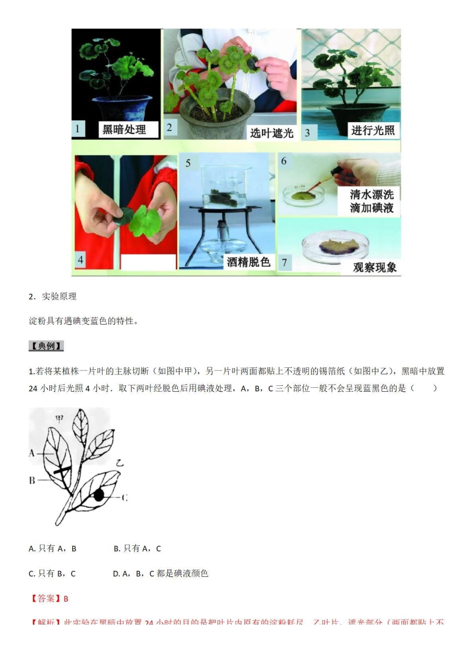 考点16 植物的光合作用-备战2022年中考生物（知识点+精练）_八年级下册_八年级下册生物.pdf_第2页