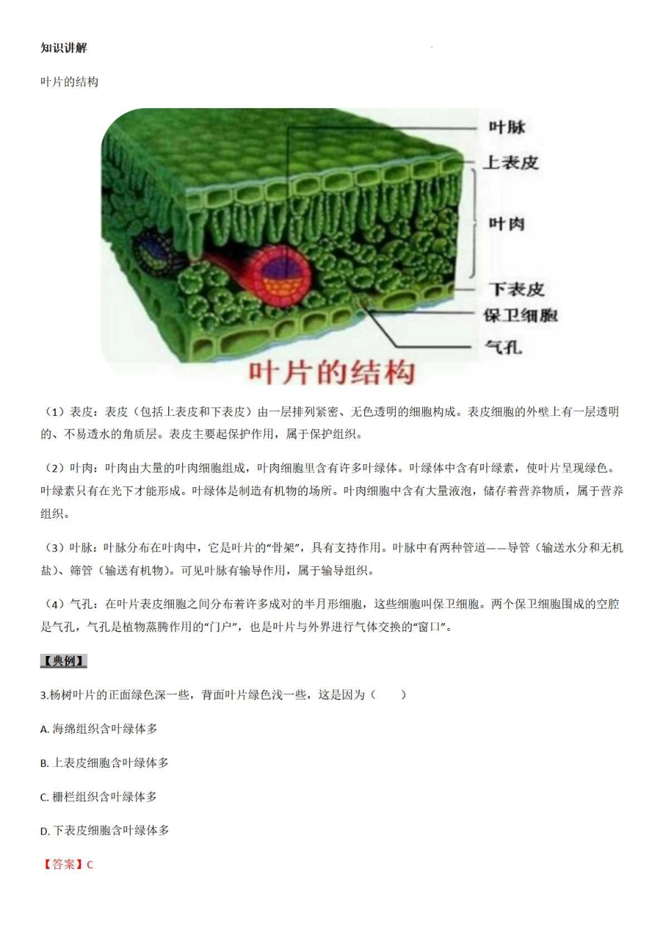 考点15 植物的蒸腾作用-备战2022年中考生物（知识点+精练）_八年级下册_八年级下册生物.pdf_第3页