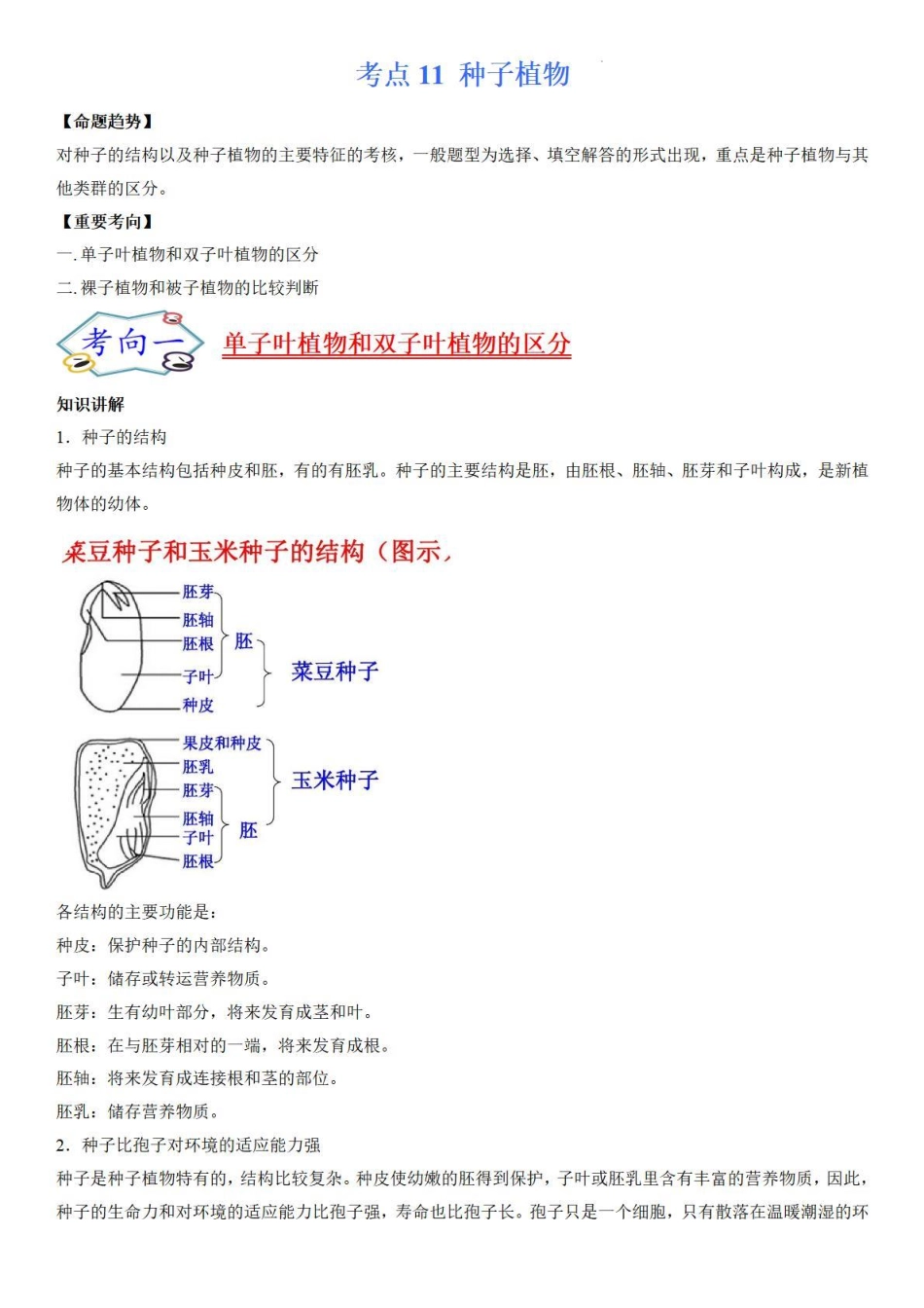 考点11 种子植物-备战2022年中考生物（知识点+精练）_八年级下册_八年级下册生物.pdf_第1页