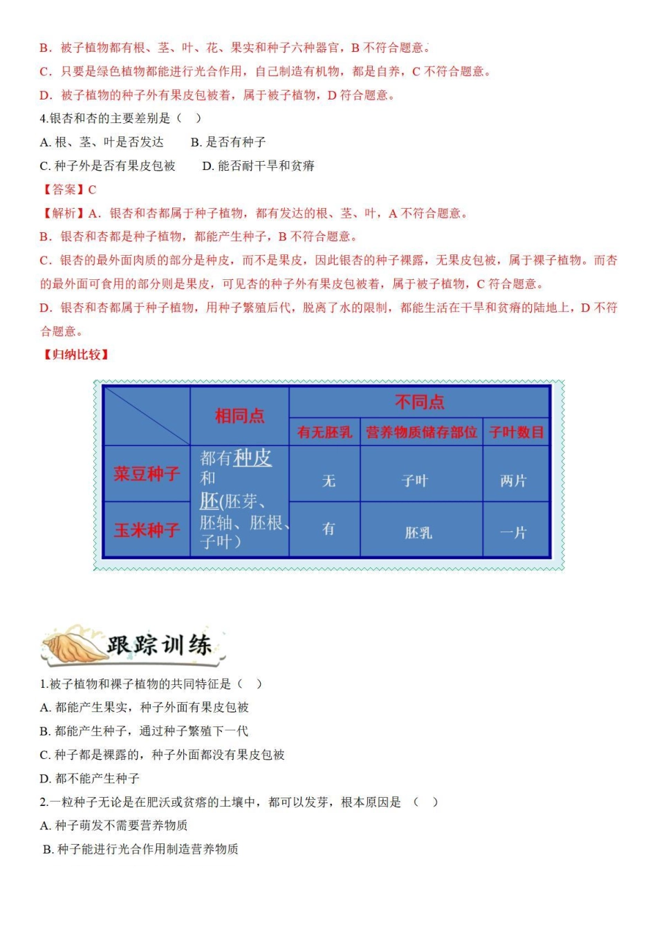 考点11 种子植物-备战2022年中考生物（知识点+精练）_八年级下册_八年级下册生物.pdf_第3页