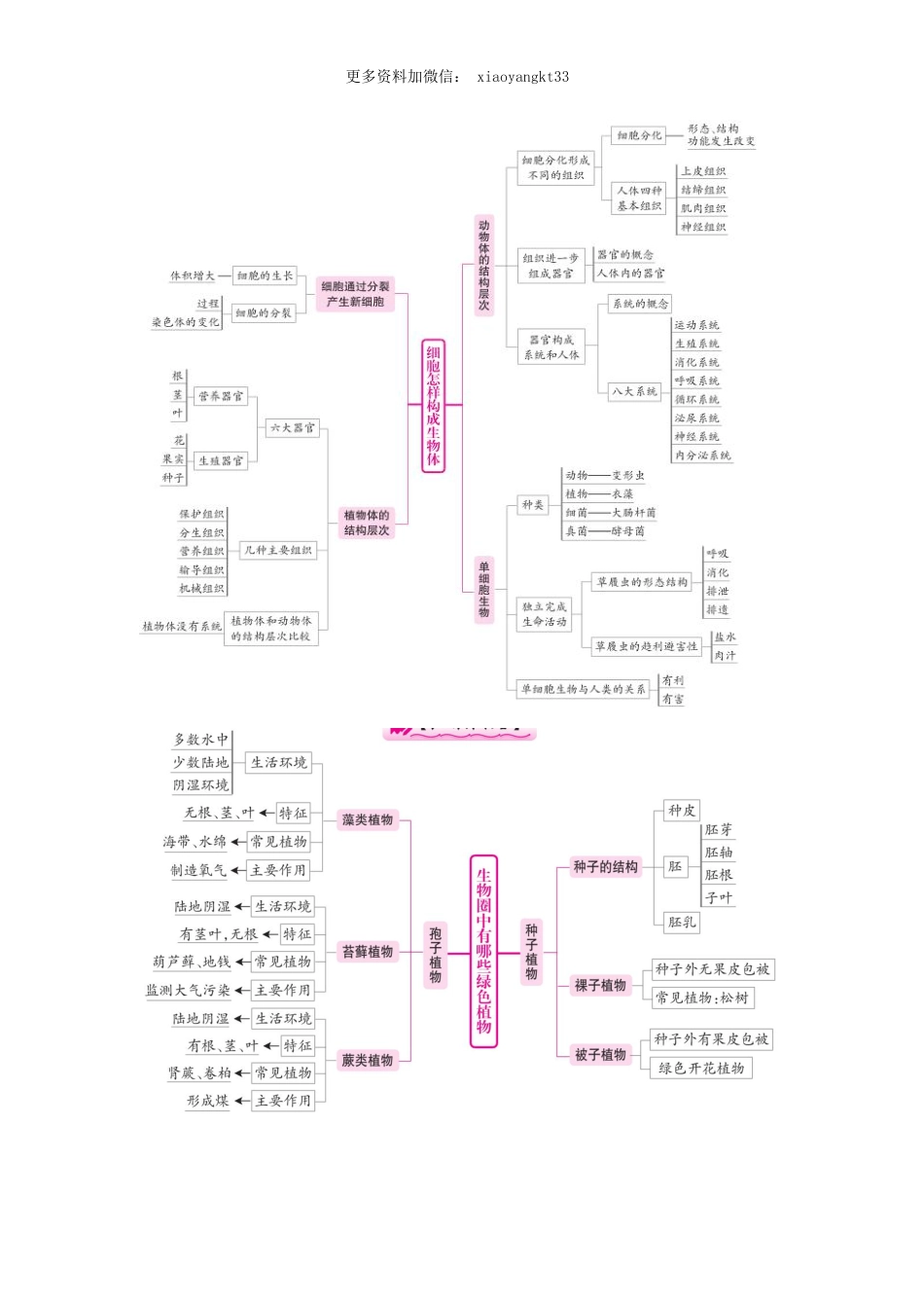 ｛会考｝初中生物各章节知识概念图_八年级下册_八年级下册生物.pdf_第2页
