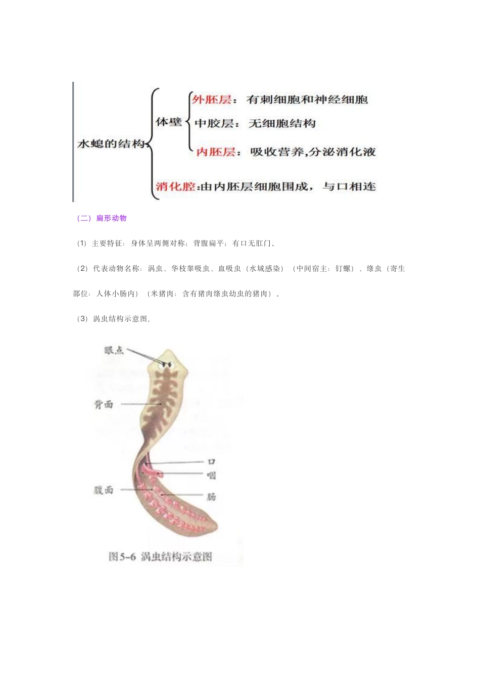 人教版八上生物知识点总结_八年级下册_八年级下册生物.pdf_第2页