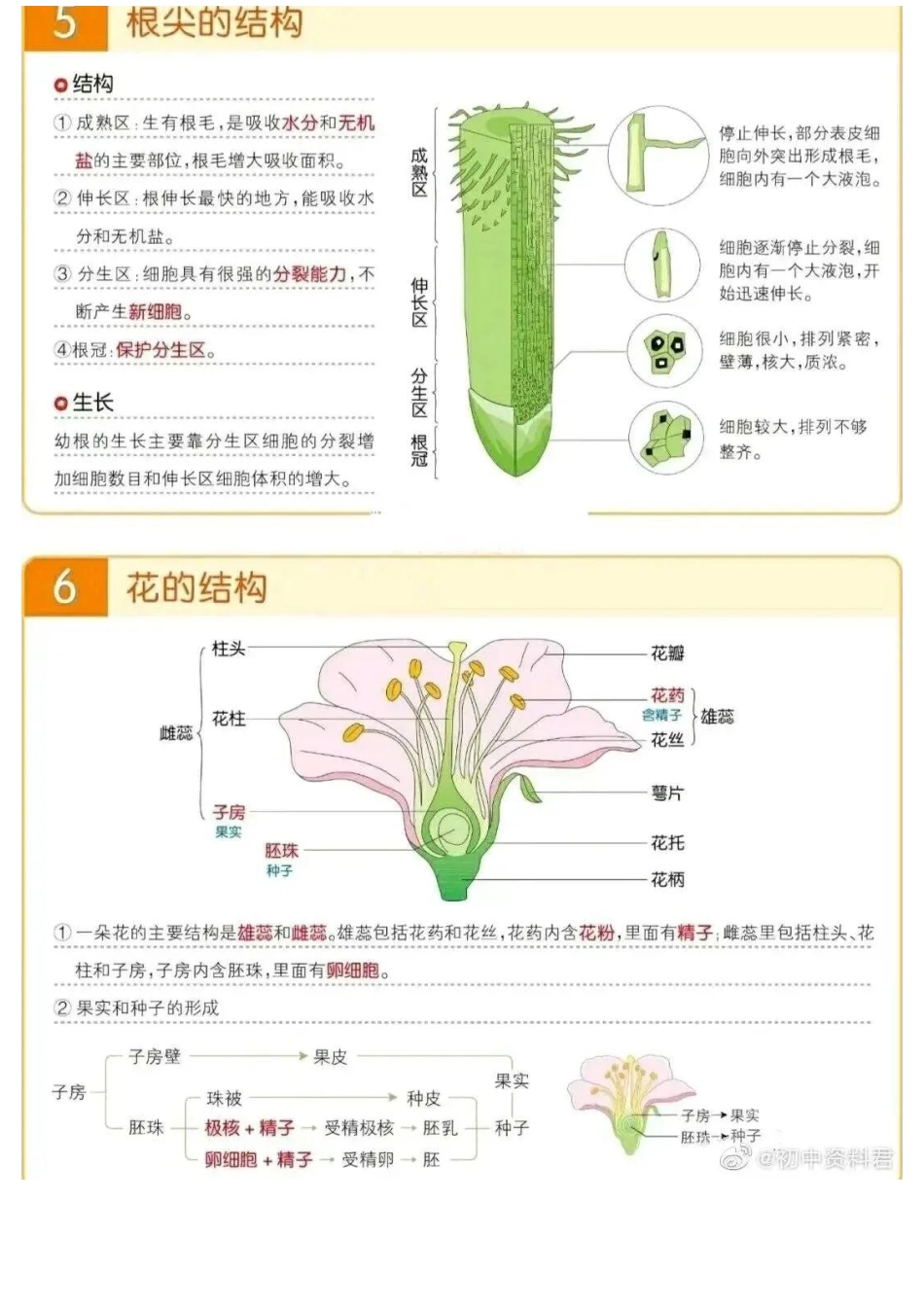 【初中生物】必考知识点合集（精简版），高分必背！_八年级下册_八年级下册生物.pdf_第3页