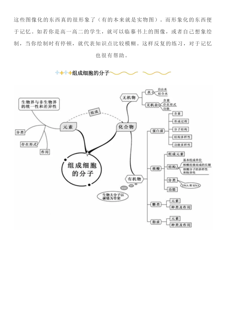 【初中生物】2022年知识点超全归纳总结，预习复习都用的上！_八年级下册_八年级下册生物.pdf_第3页