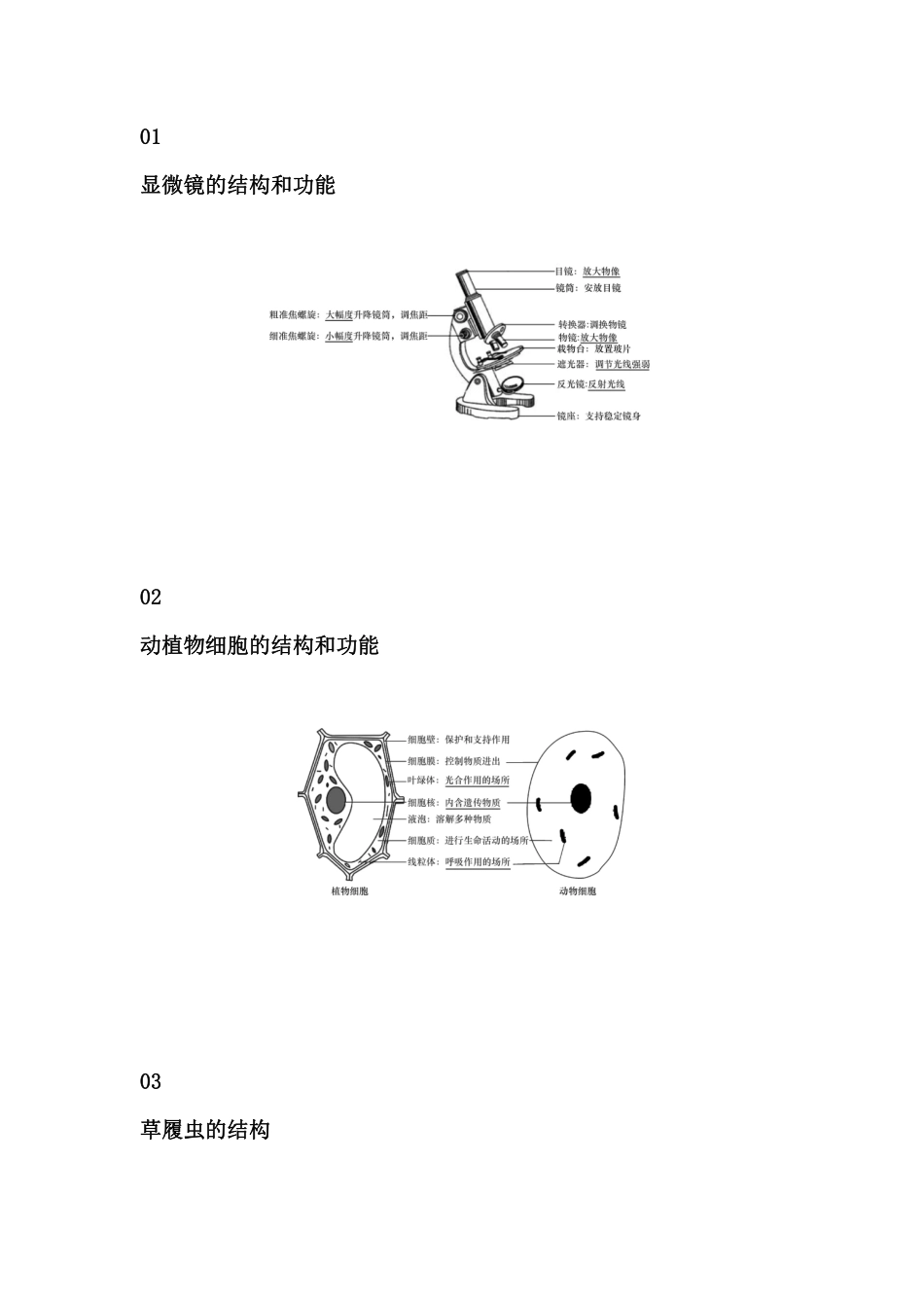 【初中生物】知识结构史上最全汇总，图文并茂，非常形象！_八年级下册_八年级下册生物.pdf_第1页