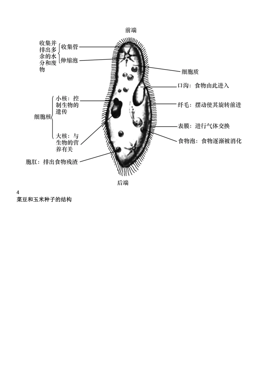 【初中生物】识图题常用结构示意图汇总_八年级下册_八年级下册生物.pdf_第2页