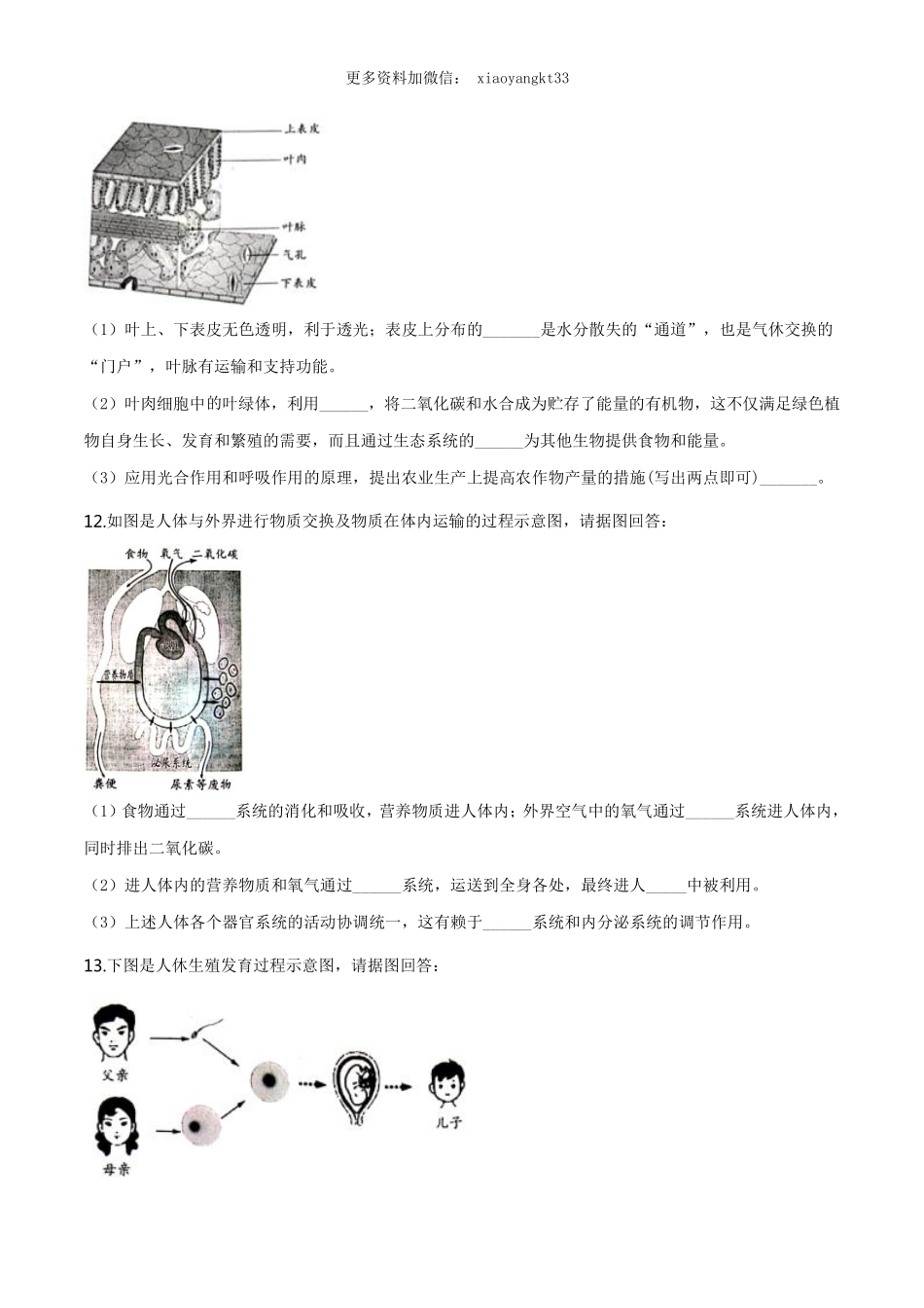 安徽省中考生物试卷（原卷版）_八年级下册_八年级下册生物.pdf_第3页