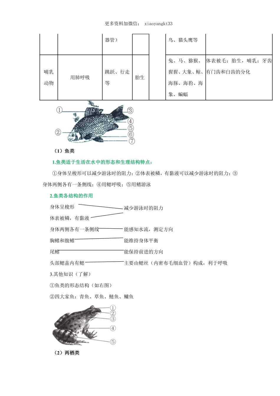 专题14 动物的主要类群（原卷版）_八年级下册_八年级下册生物.pdf_第3页