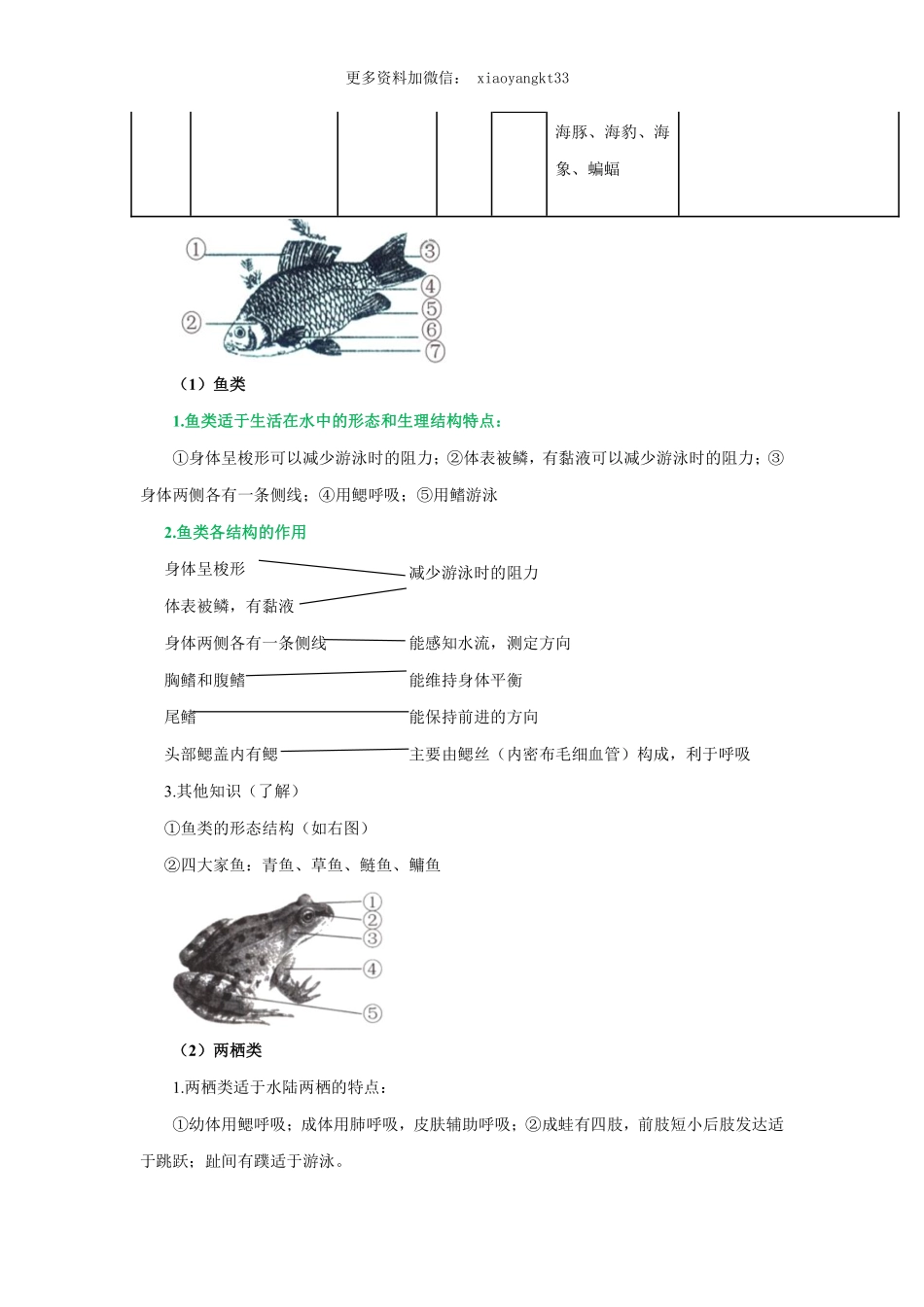 专题14 动物的主要类群（解析版）_八年级下册_八年级下册生物.pdf_第3页