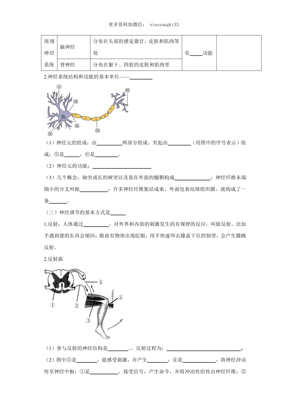 专题13 人体生命活动的调节（原卷版）_八年级下册_八年级下册生物.pdf_第3页