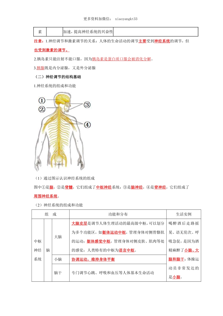 专题13 人体生命活动的调节（解析版）_八年级下册_八年级下册生物.pdf_第2页