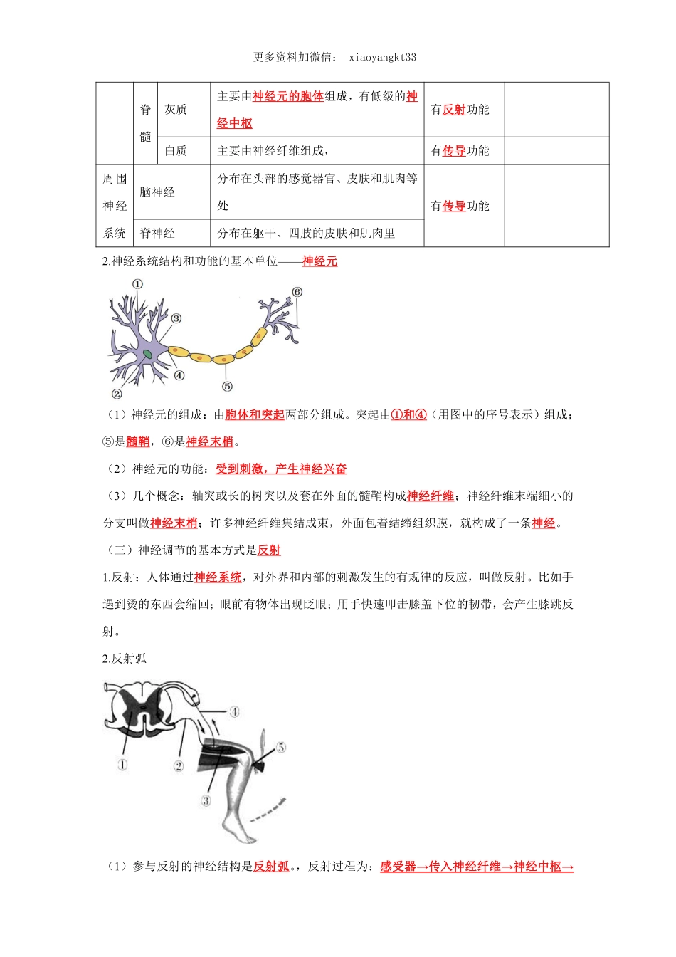 专题13 人体生命活动的调节（解析版）_八年级下册_八年级下册生物.pdf_第3页