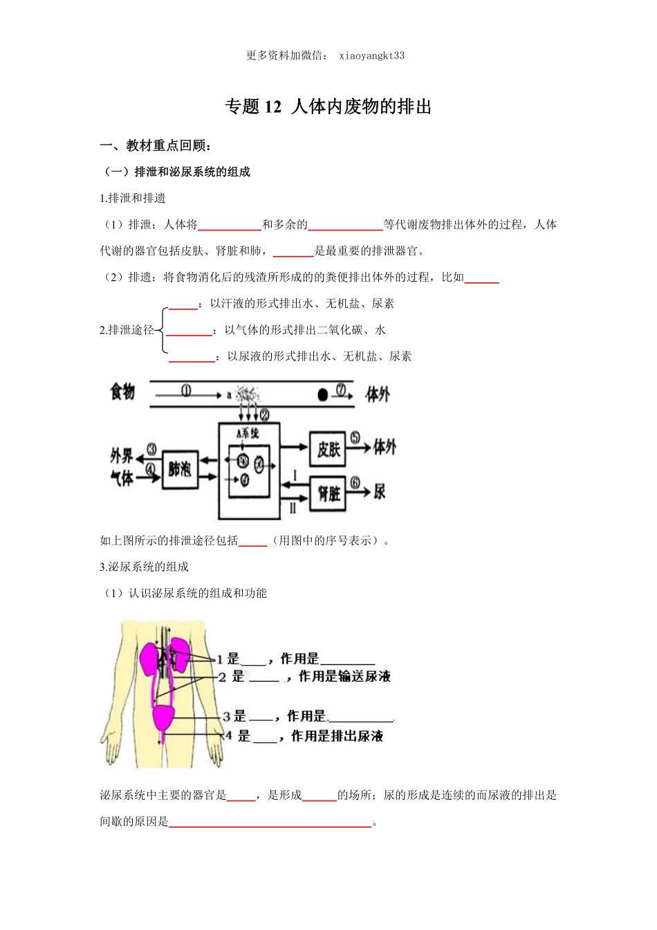 专题12 人体内废物的排出（原卷版）_八年级下册_八年级下册生物.pdf_第1页